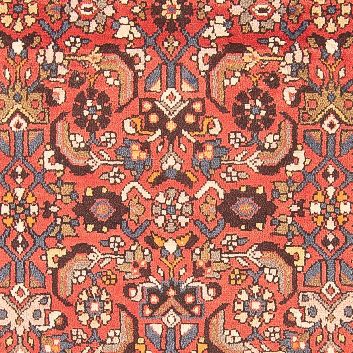 Loper Perzisch Tapijt - Nomadisch - 322 x 115 cm - rood