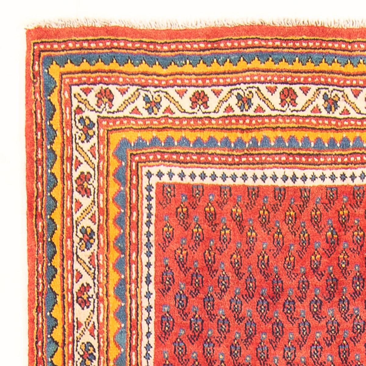 Sarouk Tapijt 118x328cm - Perzisch tapijt