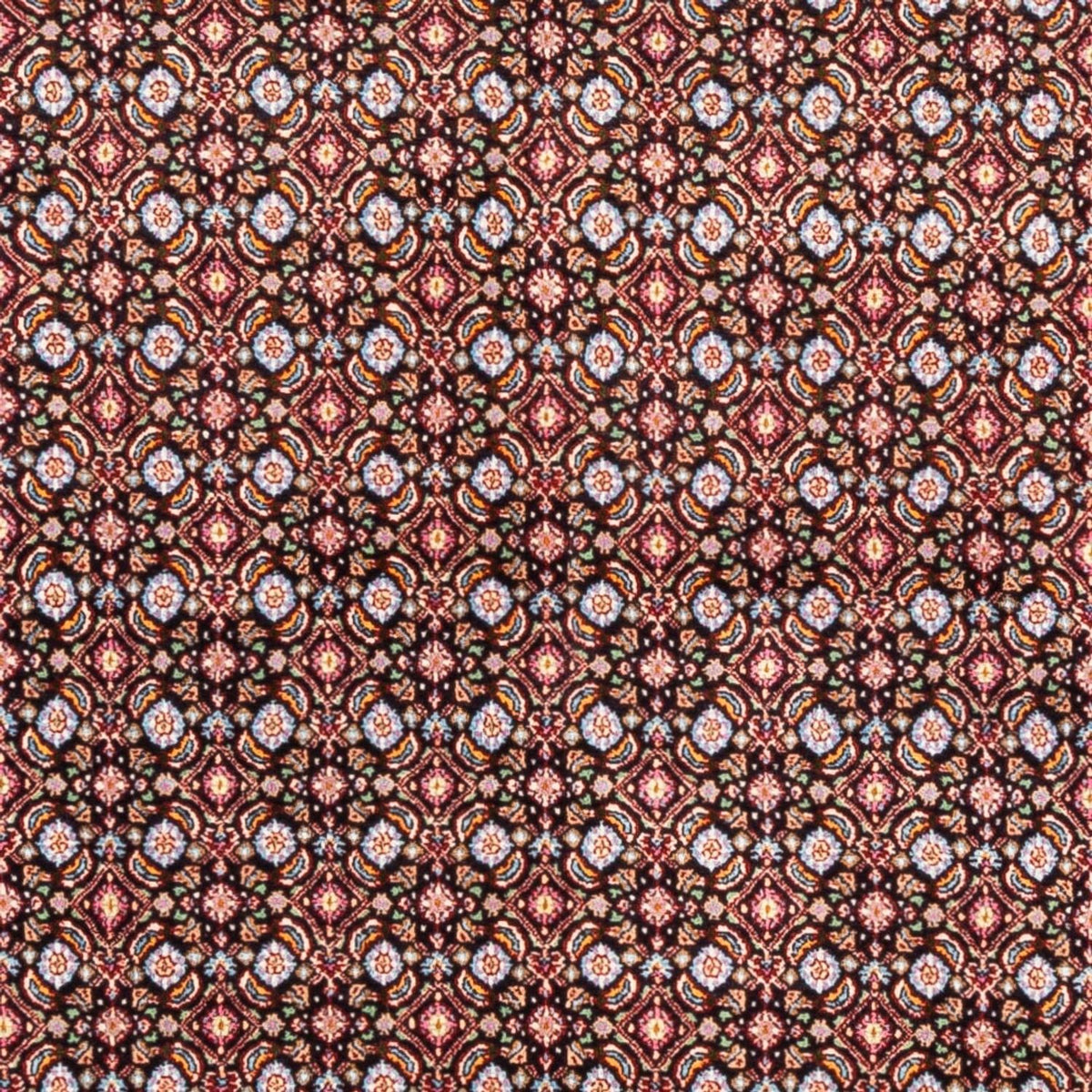 Perzisch tapijt - Klassiek vierkant  - 195 x 193 cm - donkerblauw