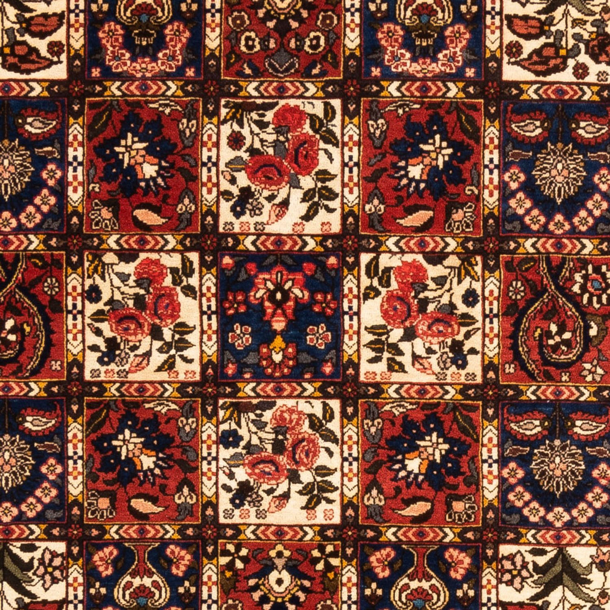 Perzisch Tapijt - Nomadisch - 250 x 155 cm - veelkleurig