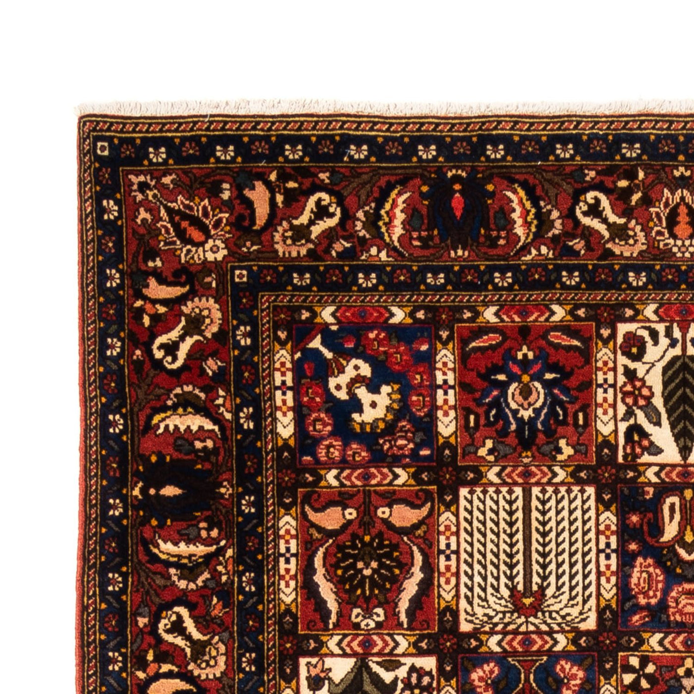 Bakhtiari Tapijt 250x155cm - Perzisch tapijt