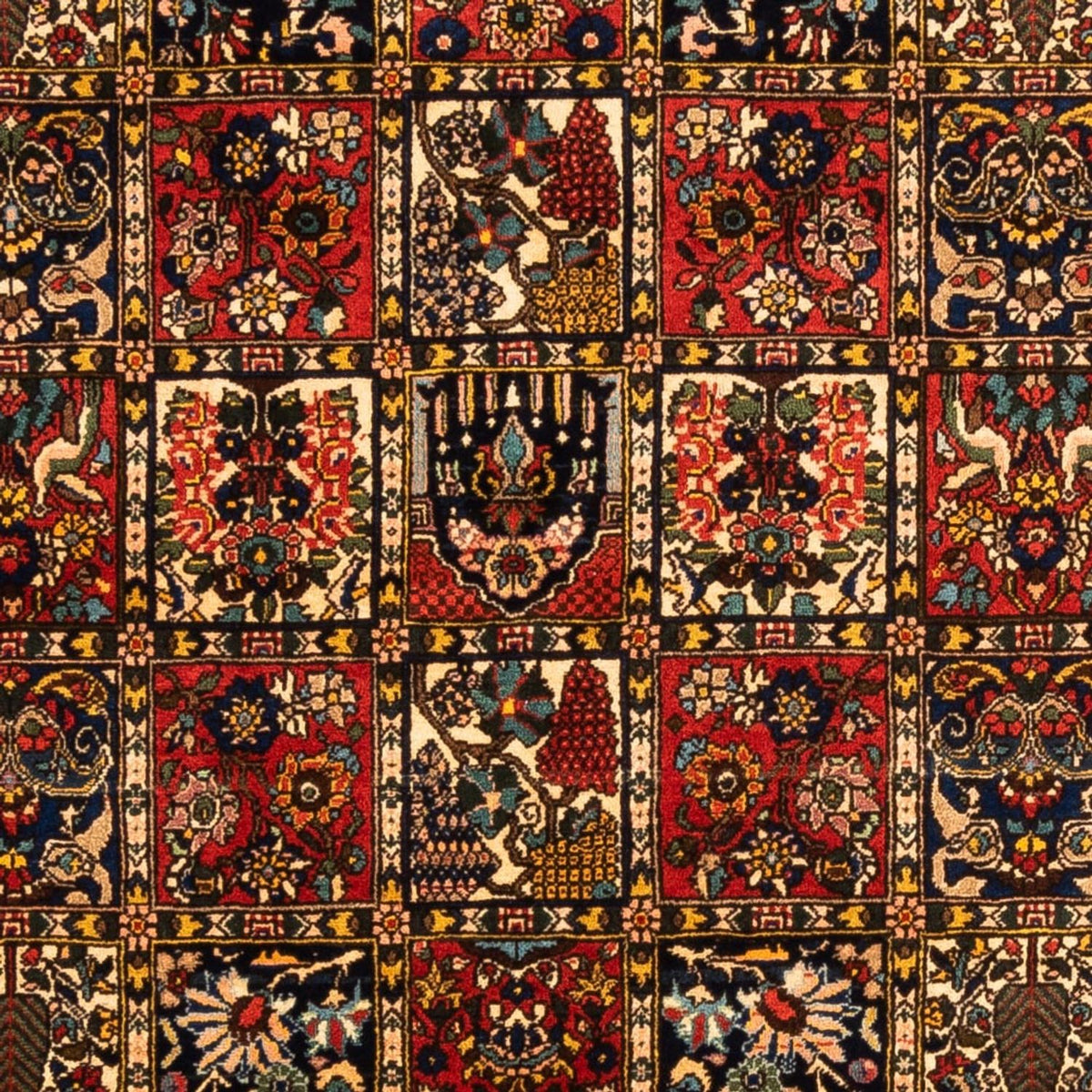 Perzisch Tapijt - Nomadisch - 250 x 155 cm - veelkleurig