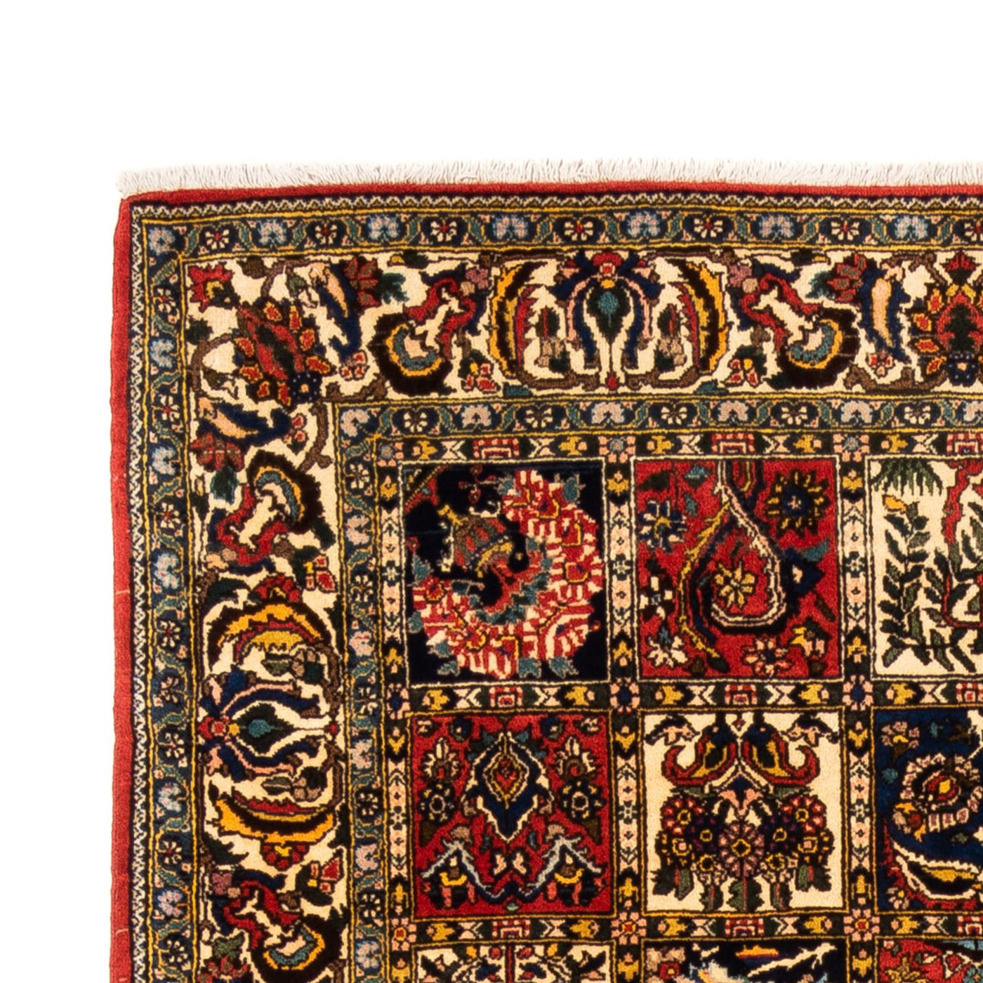Bakhtiari Tapijt 250x155cm - Perzisch tapijt