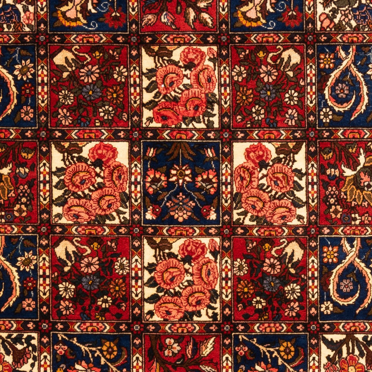 Perzisch Tapijt - Nomadisch - 260 x 157 cm - veelkleurig