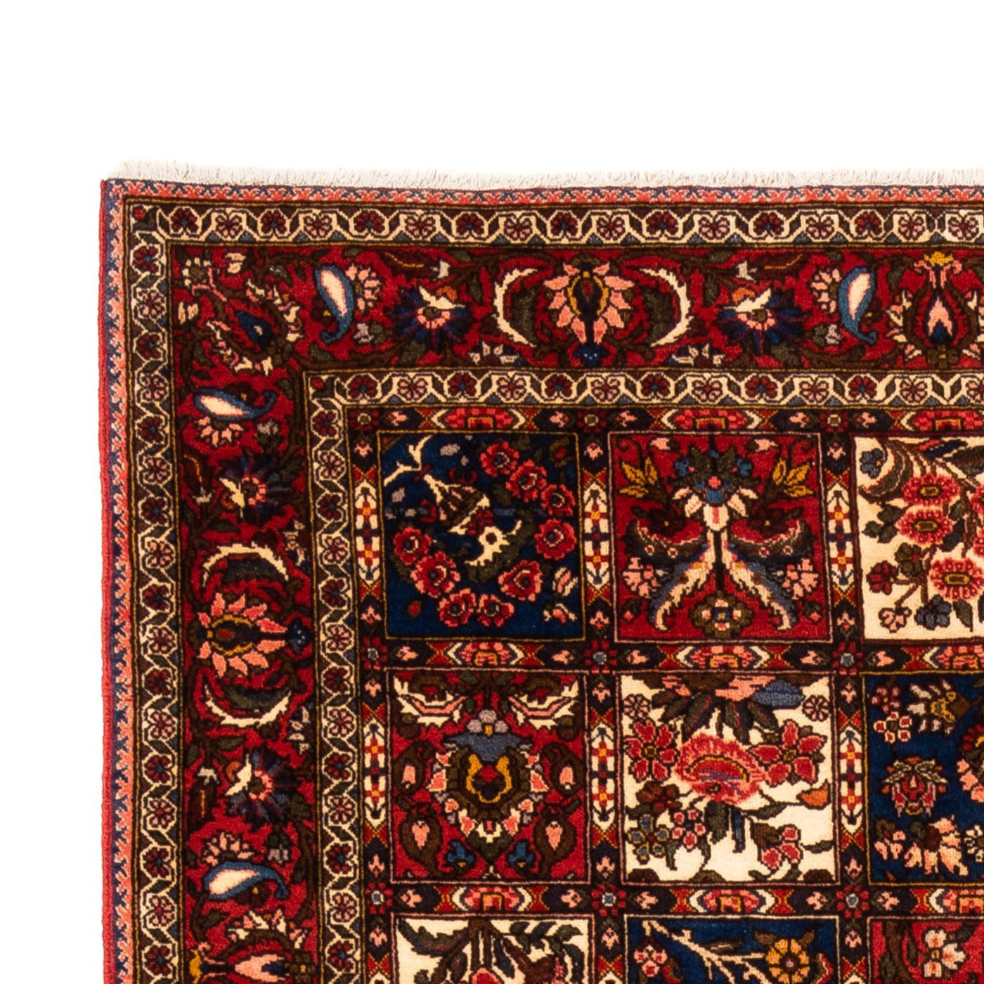 Bakhtiari Tapijt 260x157cm - Perzisch tapijt
