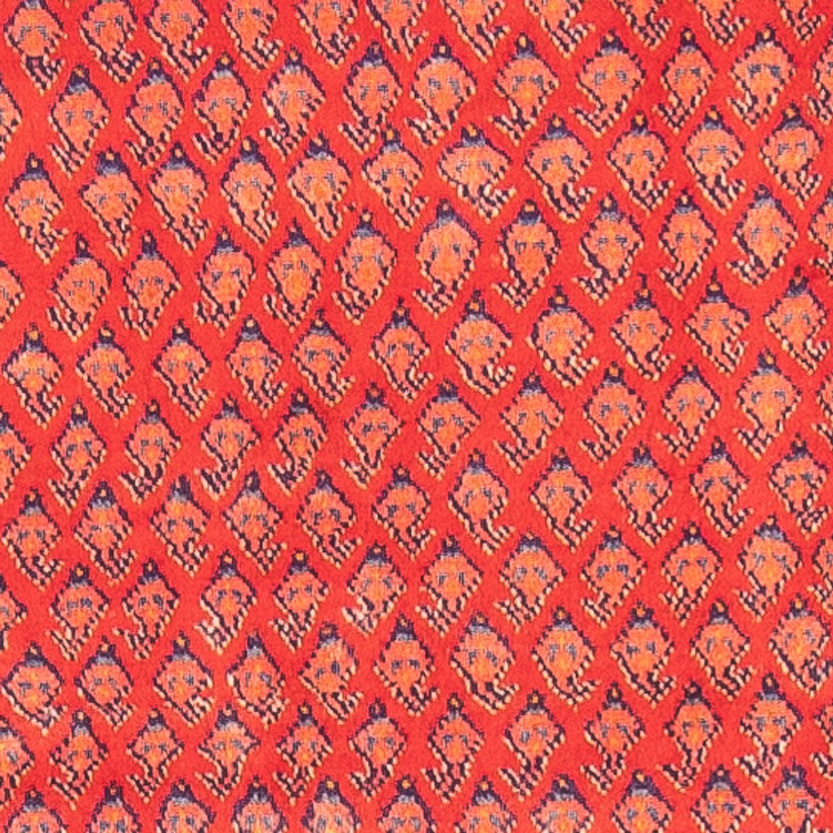 Loper Perzisch Tapijt - Nomadisch - 323 x 108 cm - rood