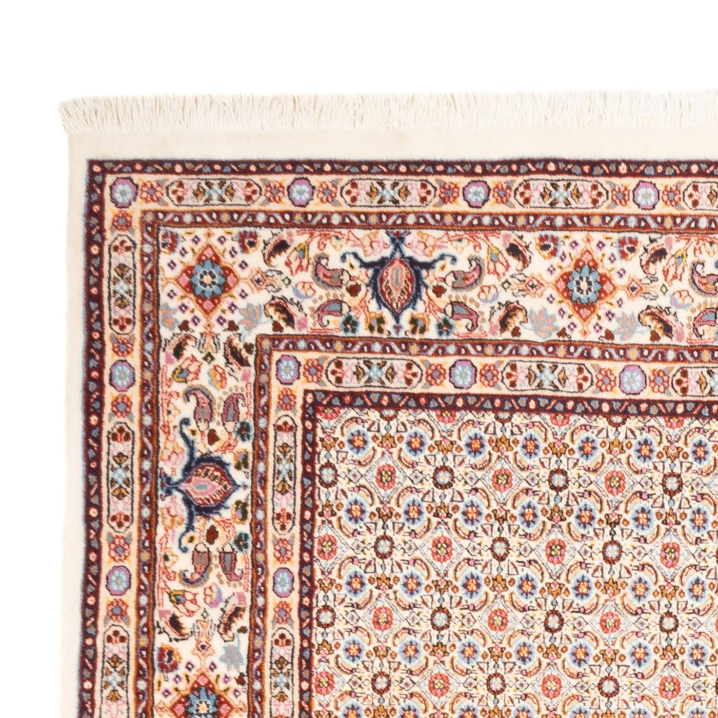 Moud Tapijt 244x165cm - Perzisch tapijt