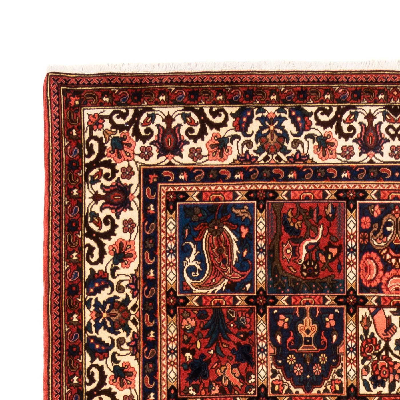 Perzisch Tapijt - Nomadisch - 252 x 157 cm - veelkleurig