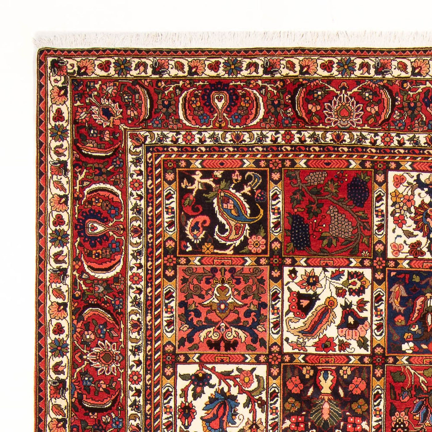 Bakhtiari Tapijt 314x210cm - Perzisch tapijt