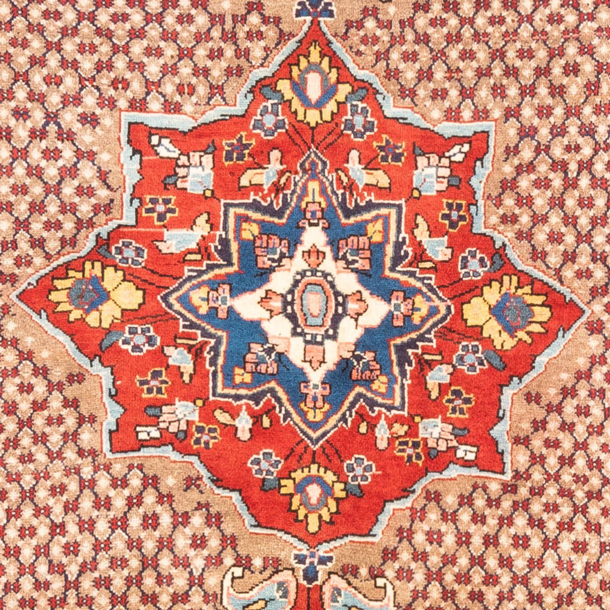 Perzisch Tapijt - Nomadisch - 320 x 160 cm - rood