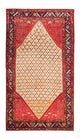 Kolyai Tapijt 273x153cm - Perzisch tapijt