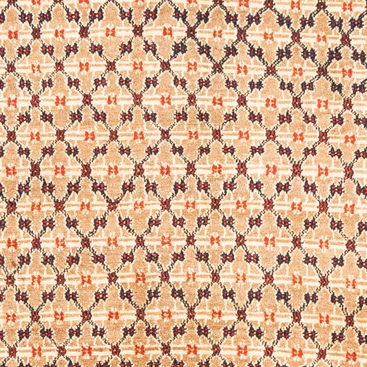 Perzisch Tapijt - Nomadisch - 273 x 153 cm - crème