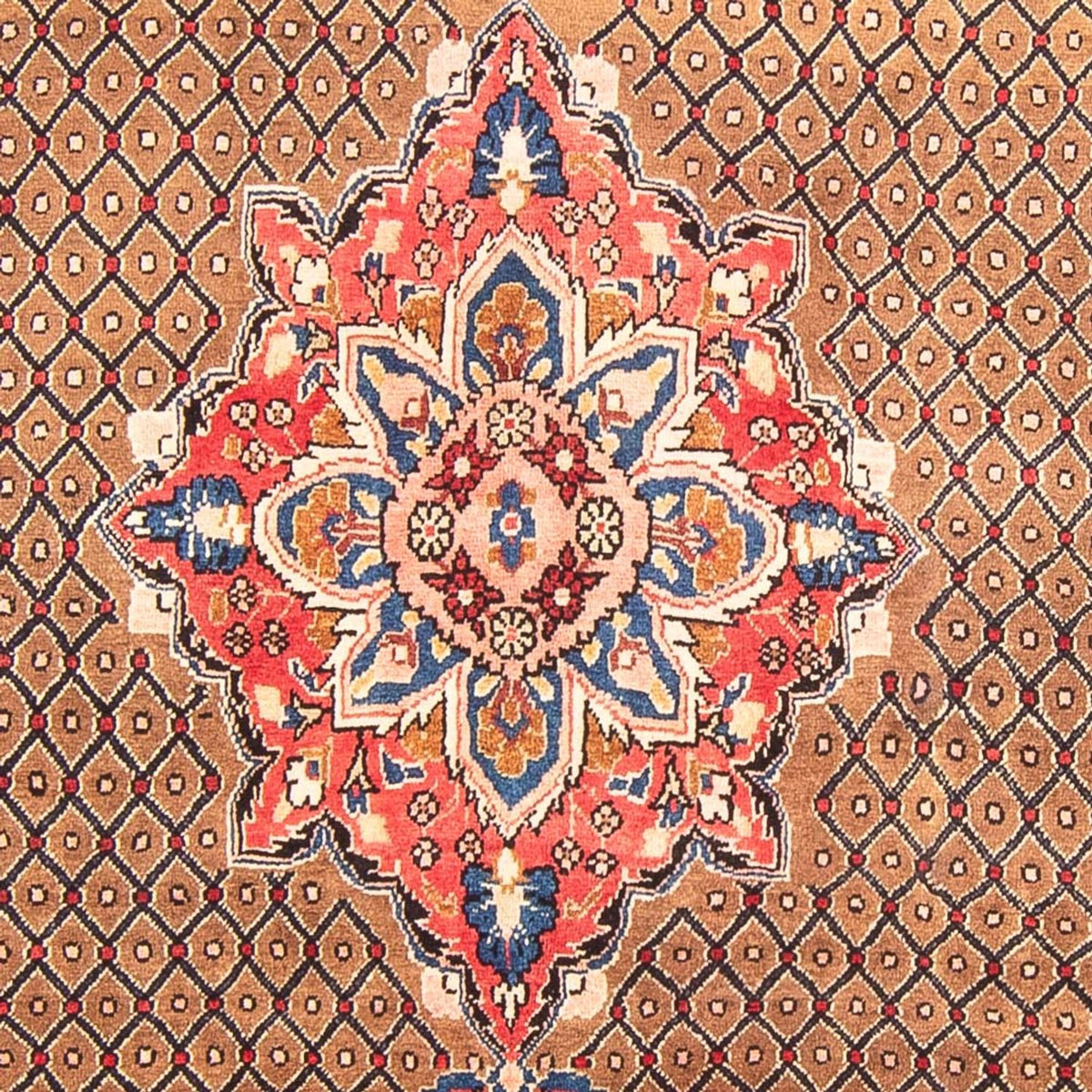 Perzisch Tapijt - Nomadisch - 285 x 150 cm - veelkleurig