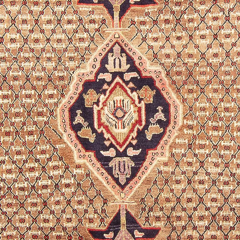 Perzisch Tapijt - Nomadisch - 310 x 160 cm - veelkleurig