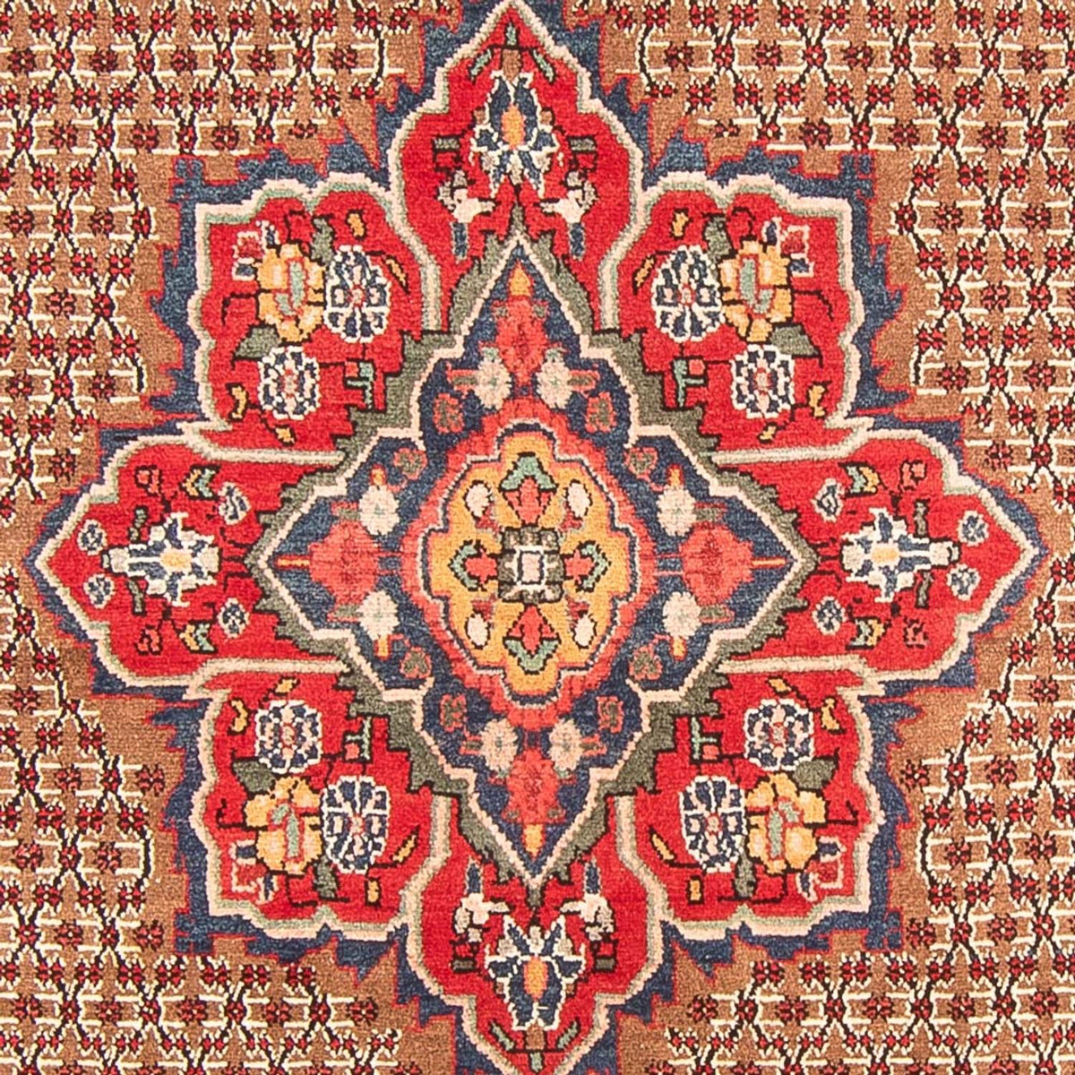 Perzisch Tapijt - Nomadisch - 285 x 155 cm - veelkleurig