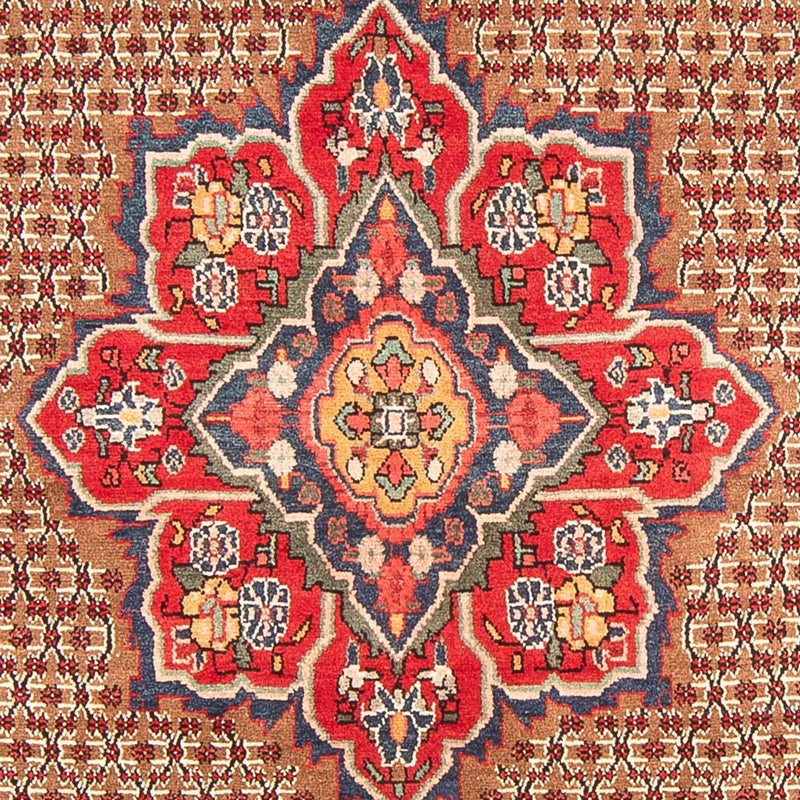 Perzisch Tapijt - Nomadisch - 285 x 155 cm - veelkleurig