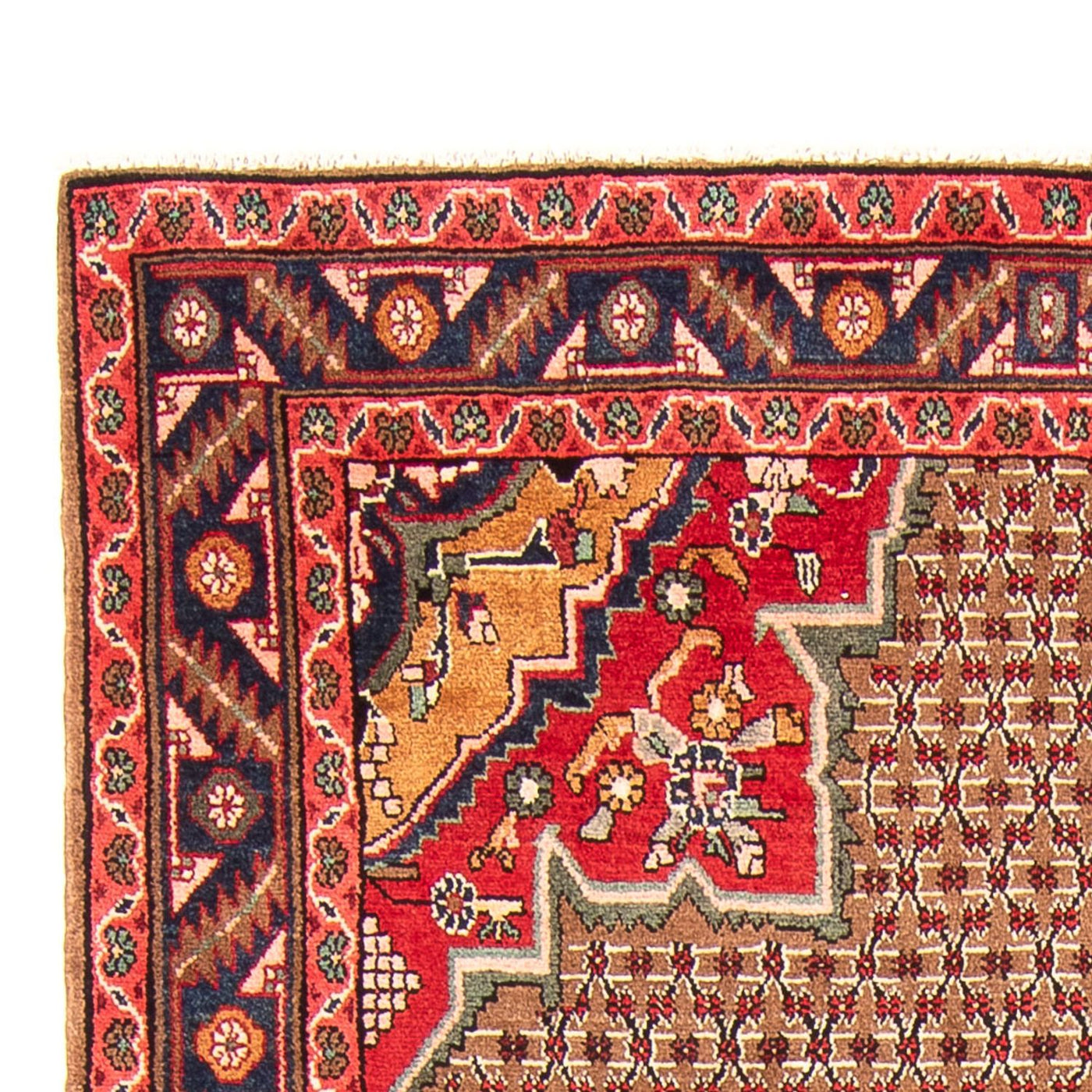 Kolyai Tapijt 285x155cm - Perzisch tapijt