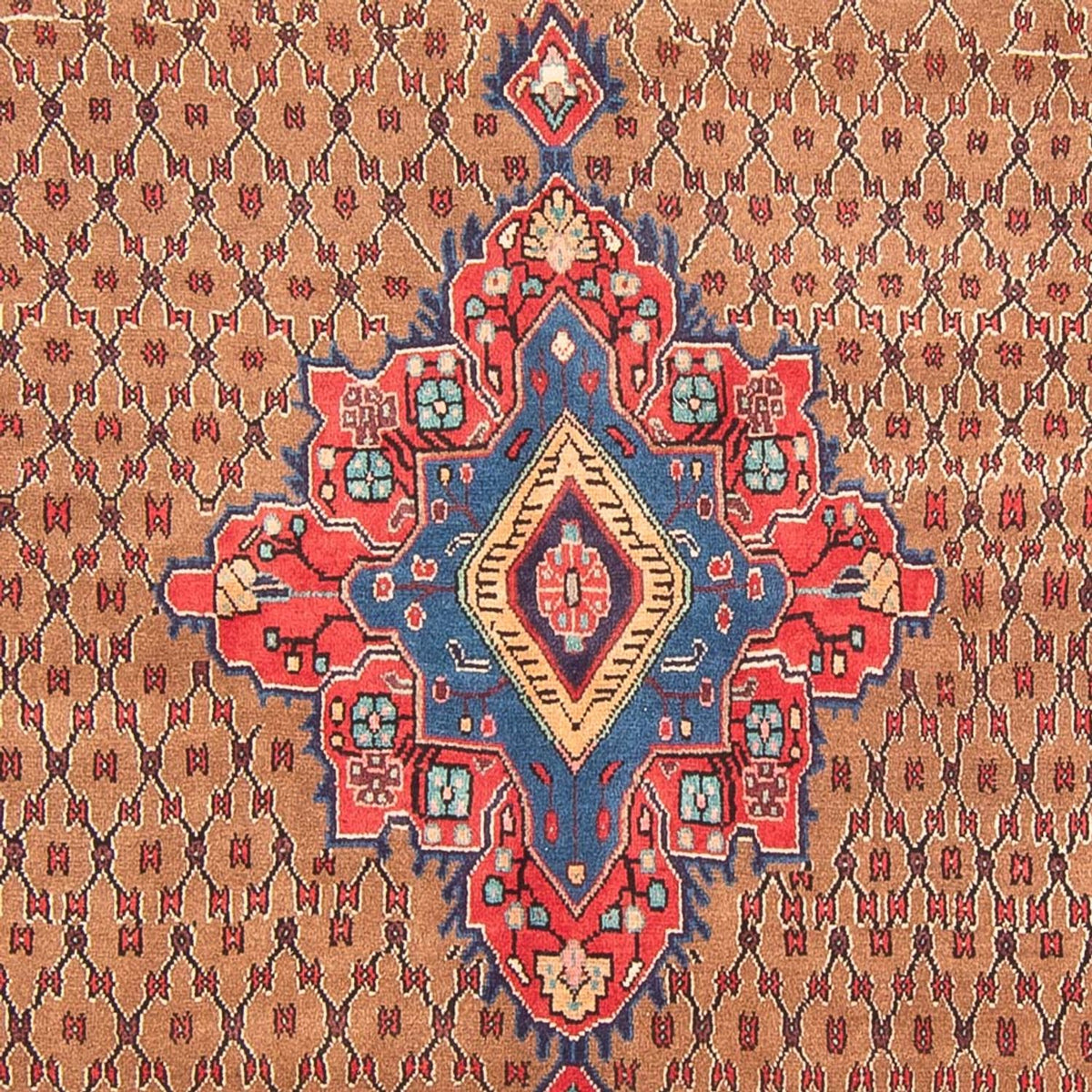 Perzisch Tapijt - Nomadisch - 307 x 160 cm - veelkleurig