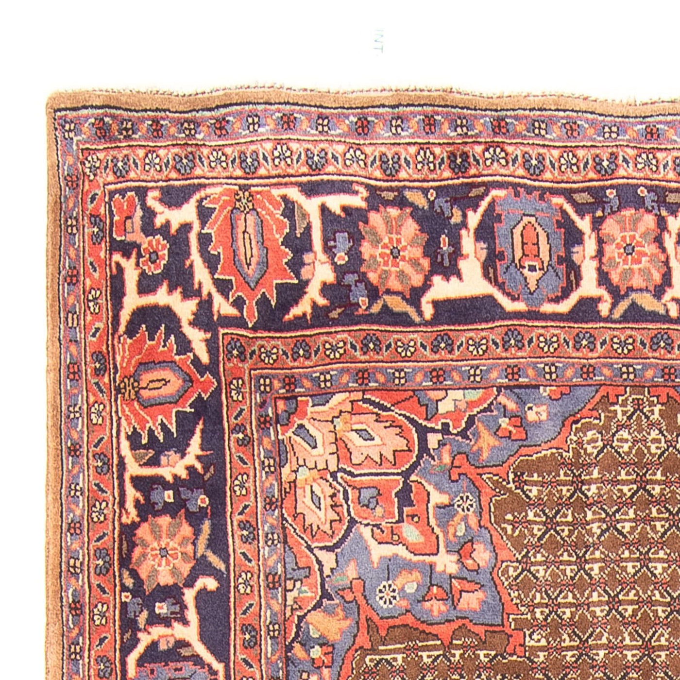 Kolyai Tapijt 295x157cm - Perzisch tapijt