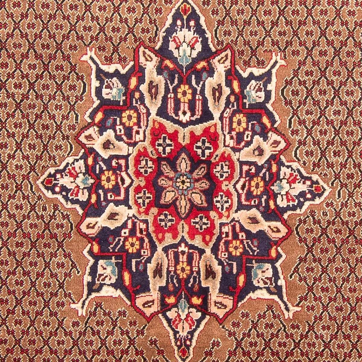 Perzisch Tapijt - Nomadisch - 300 x 152 cm - bruin