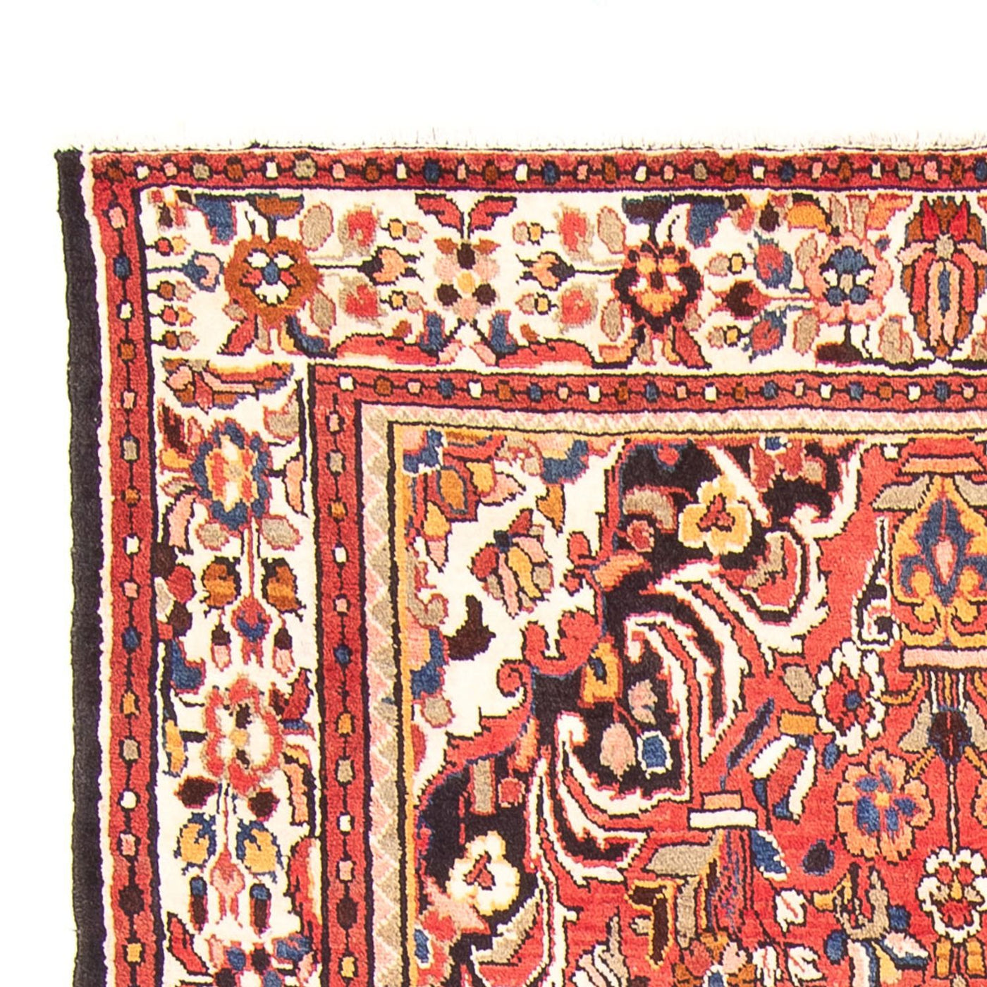 Hamadan Tapijt 300x158cm - Perzisch tapijt