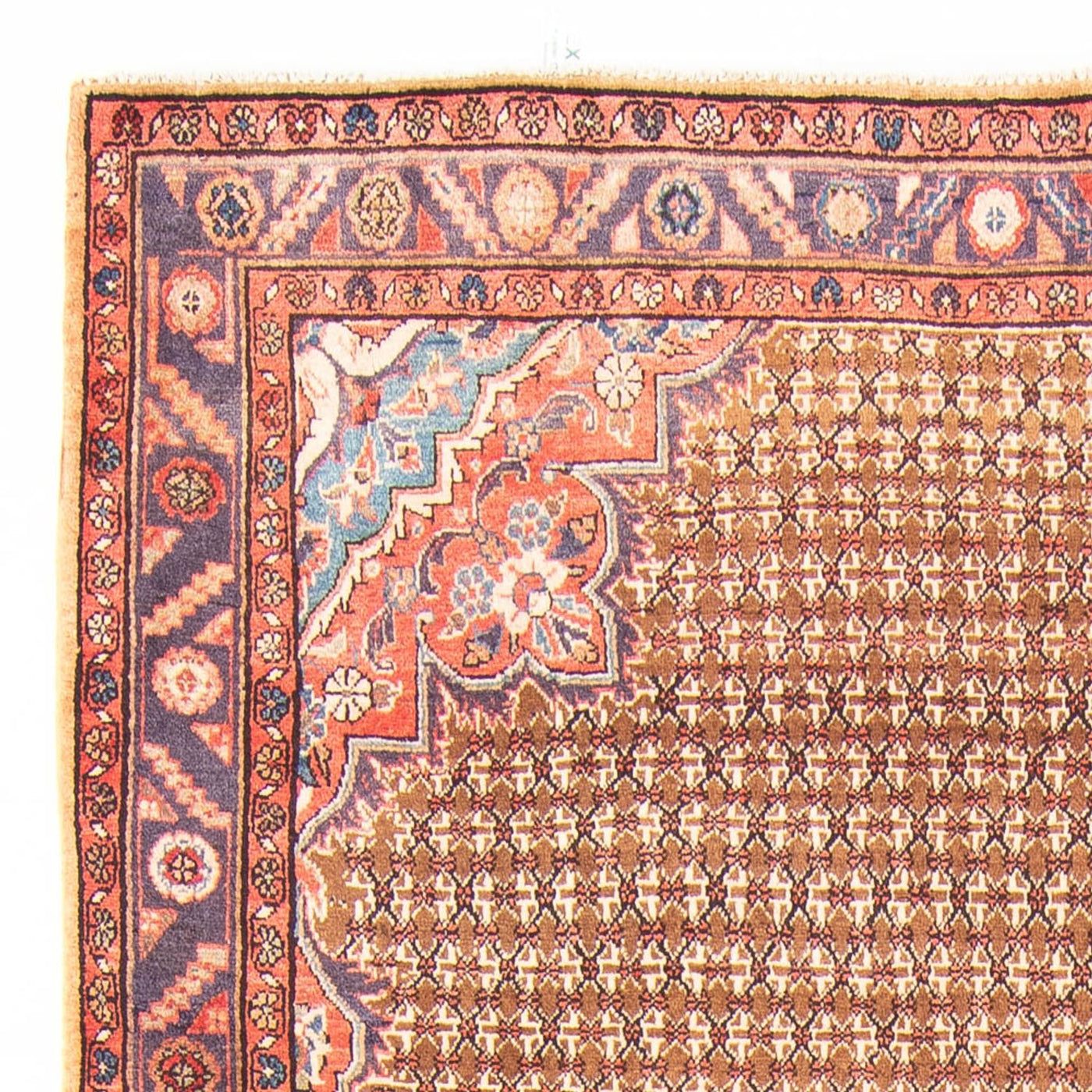 Kolyai Tapijt 310x155cm - Perzisch tapijt
