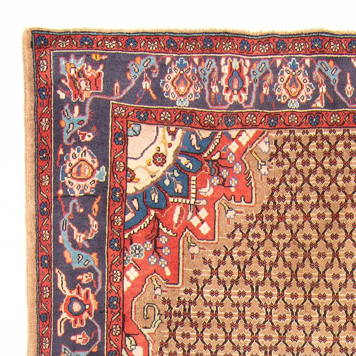 Kolyai Tapijt 310x150cm - Perzisch tapijt