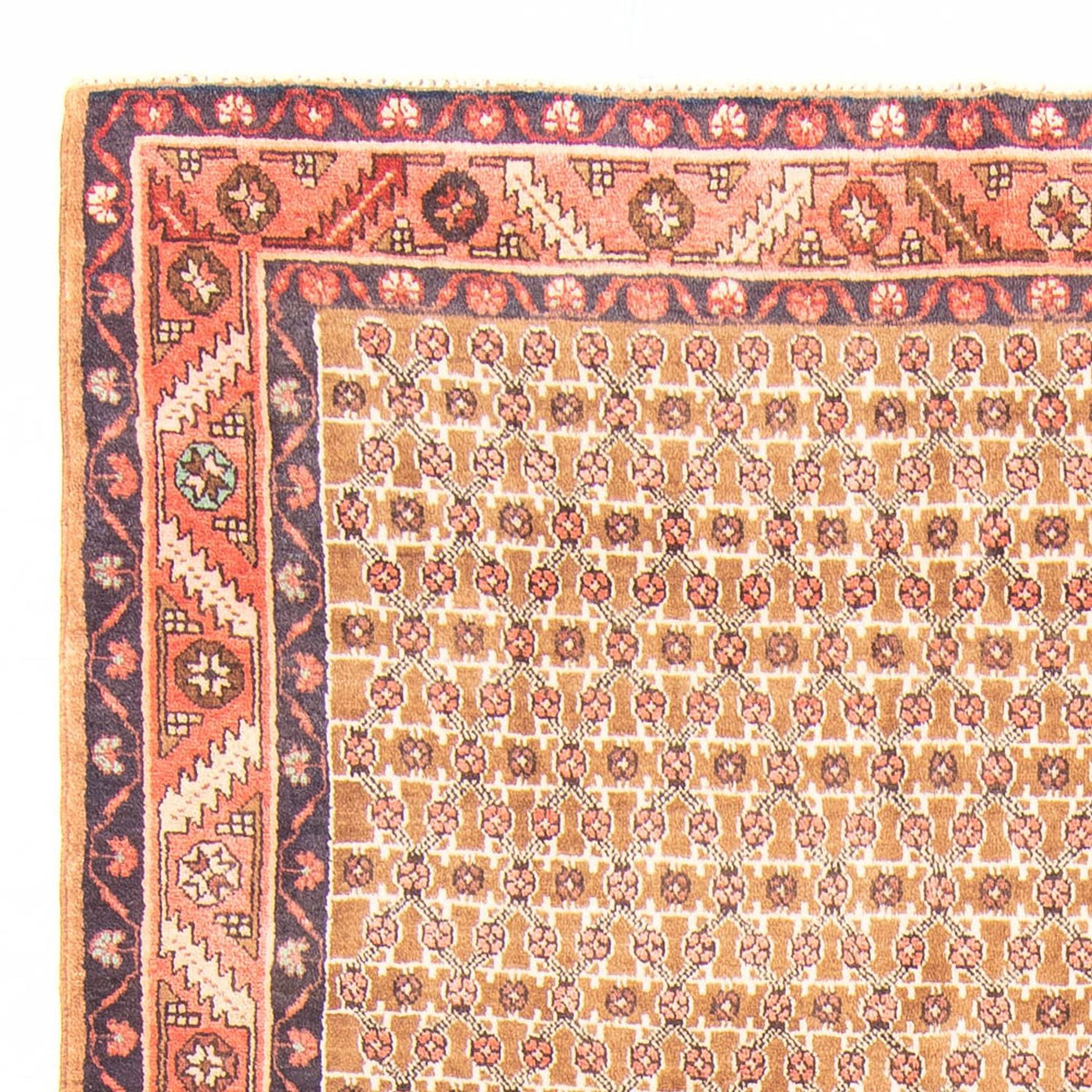 Kolyai Tapijt 343x146cm - Perzisch tapijt