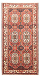 Bakhtiari Tapijt 300x166cm - Perzisch tapijt