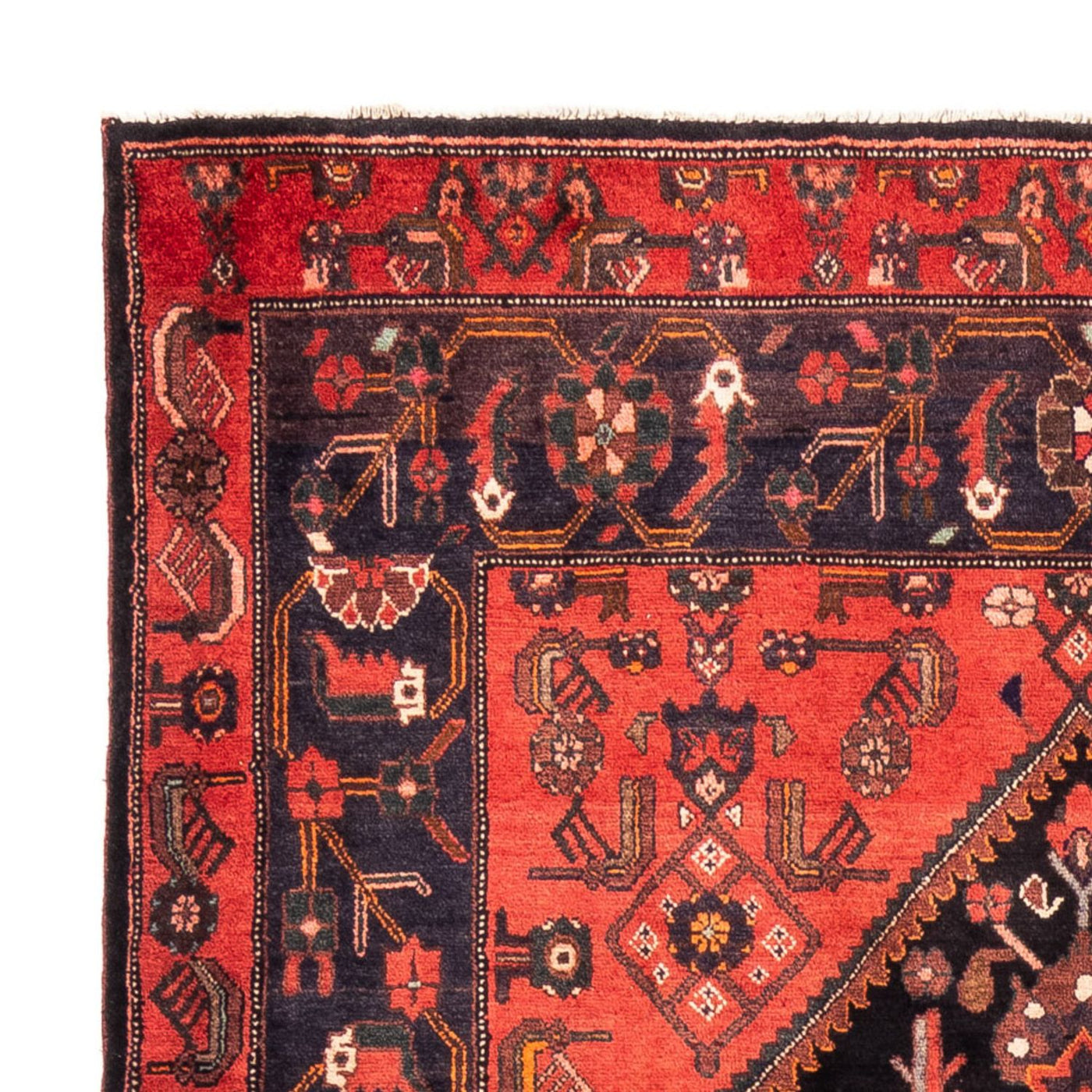 Kolyai Tapijt 300x170cm - Perzisch tapijt