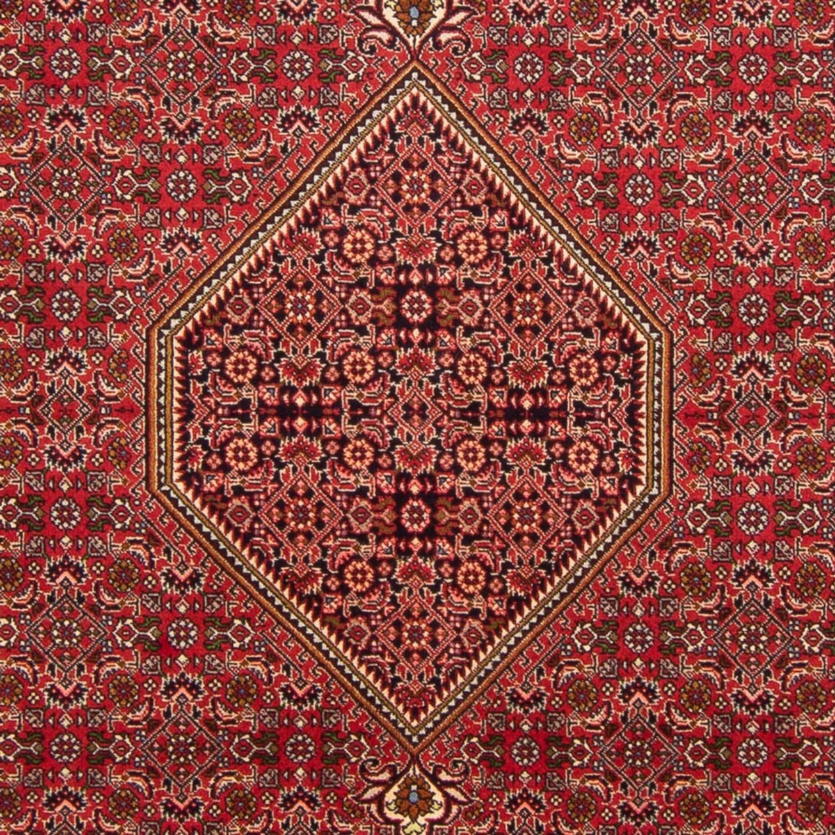Perzisch tapijt - Bijar - Koninklijk - 290 x 192 cm - rood