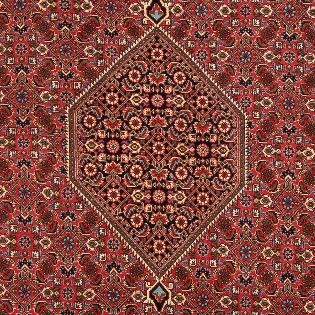 Perzisch tapijt - Bijar - Koninklijk - 293 x 200 cm - rood