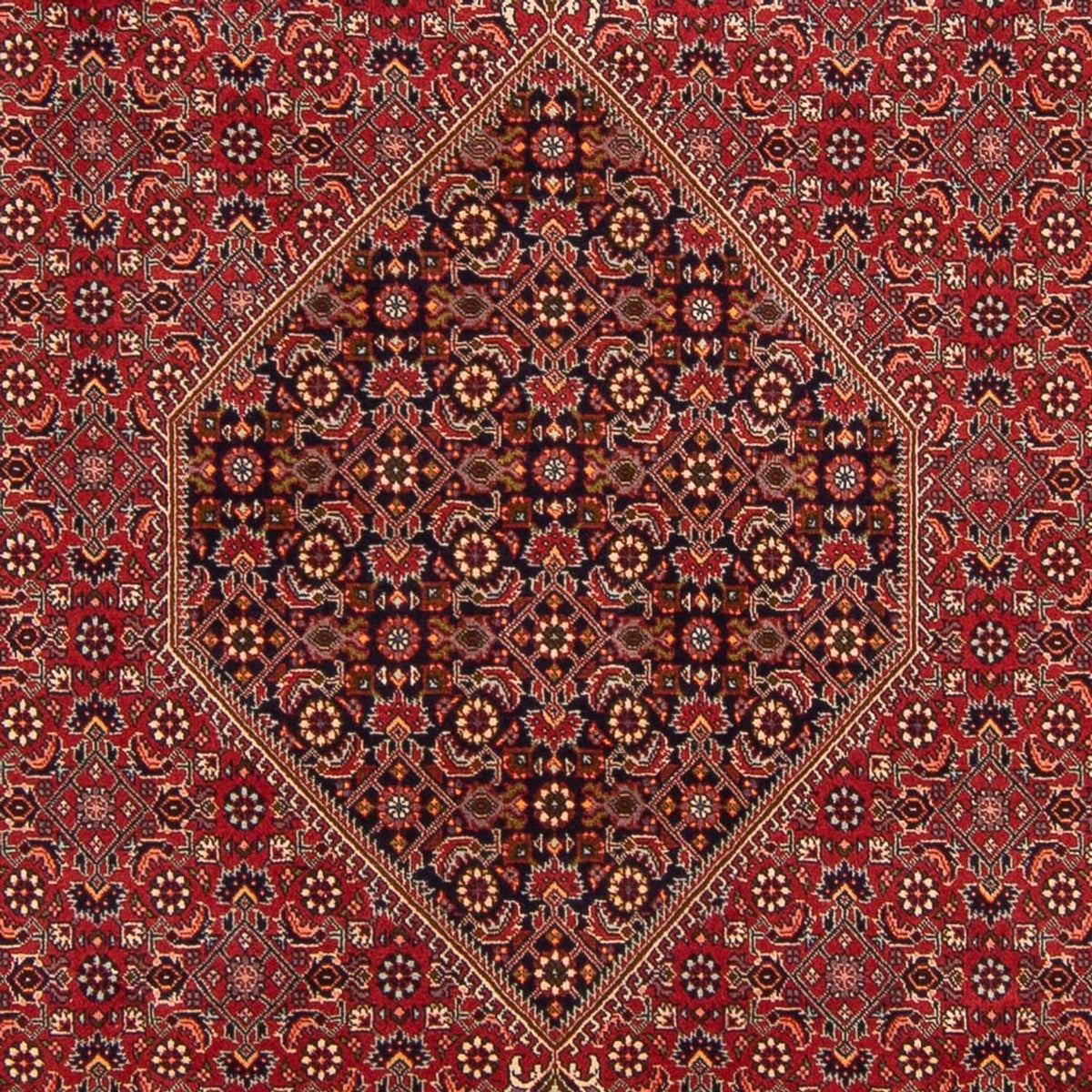 Perzisch tapijt - Bijar - Koninklijk - 300 x 201 cm - rood
