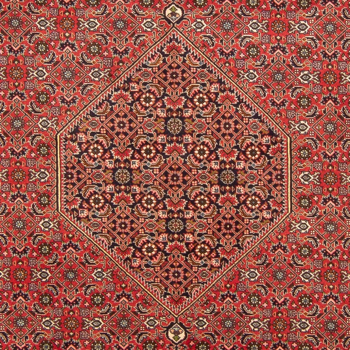 Perzisch tapijt - Bijar - Koninklijk - 298 x 197 cm - rood