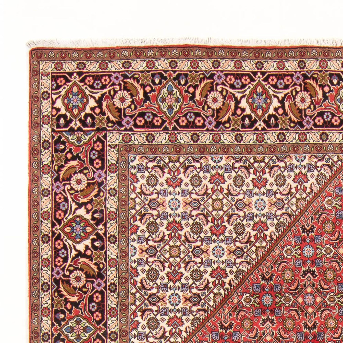 Bidjar - Bukan Tapijt 294x200cm - Perzisch tapijt