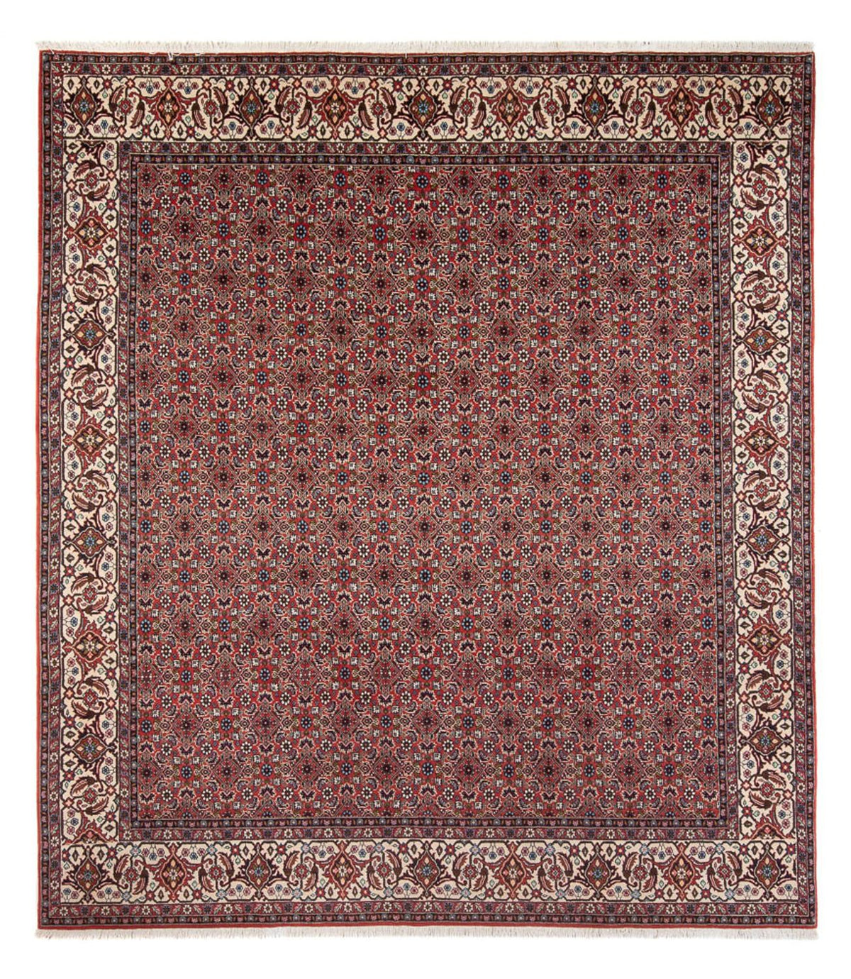 Perzisch tapijt - Bijar - Koninklijk - 296 x 248 cm - donkerrood