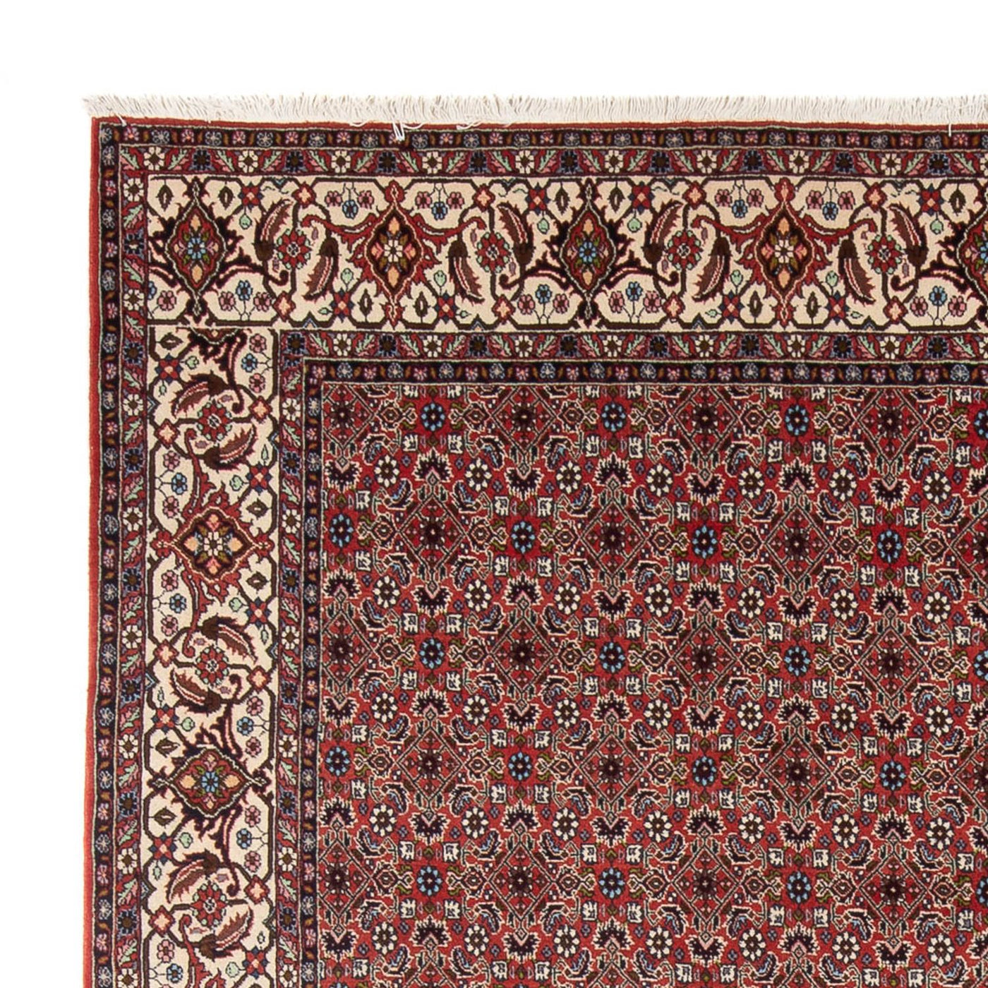 Bidjar - Bukan Tapijt 296x248cm - Perzisch tapijt