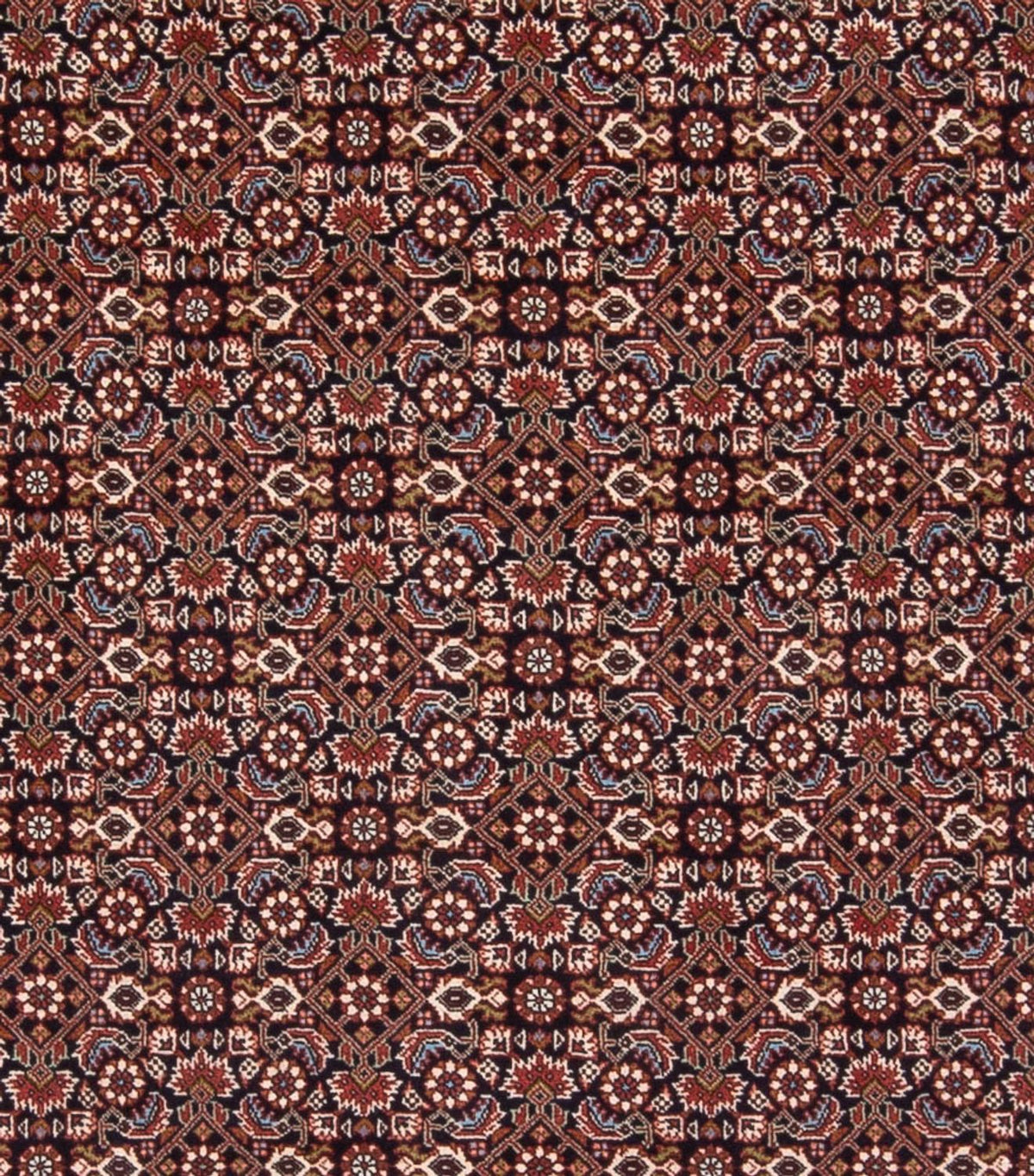 Perzisch tapijt - Bijar - Koninklijk - 300 x 248 cm - donkerblauw