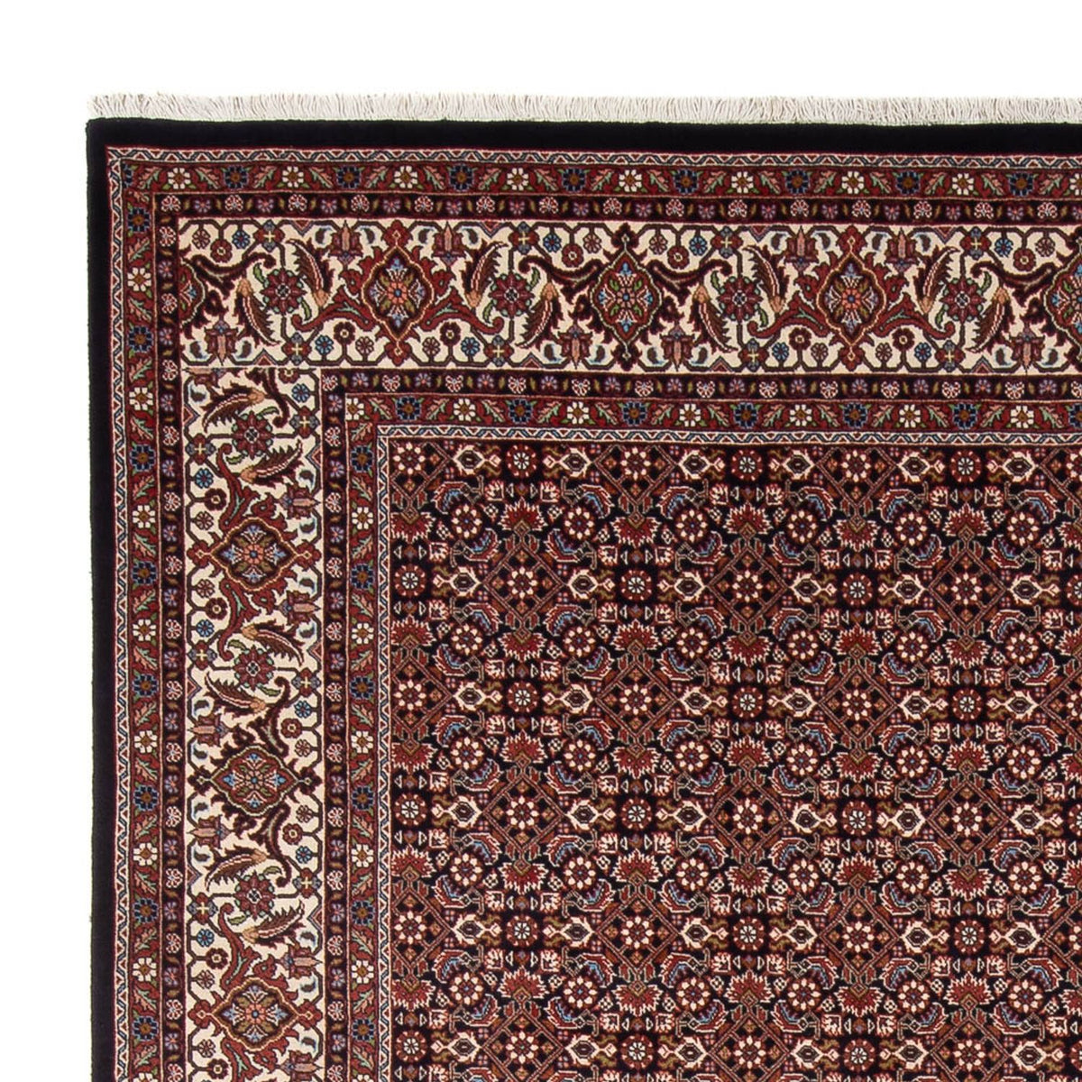 Bidjar - Bukan Tapijt 248x300cm - Perzisch tapijt