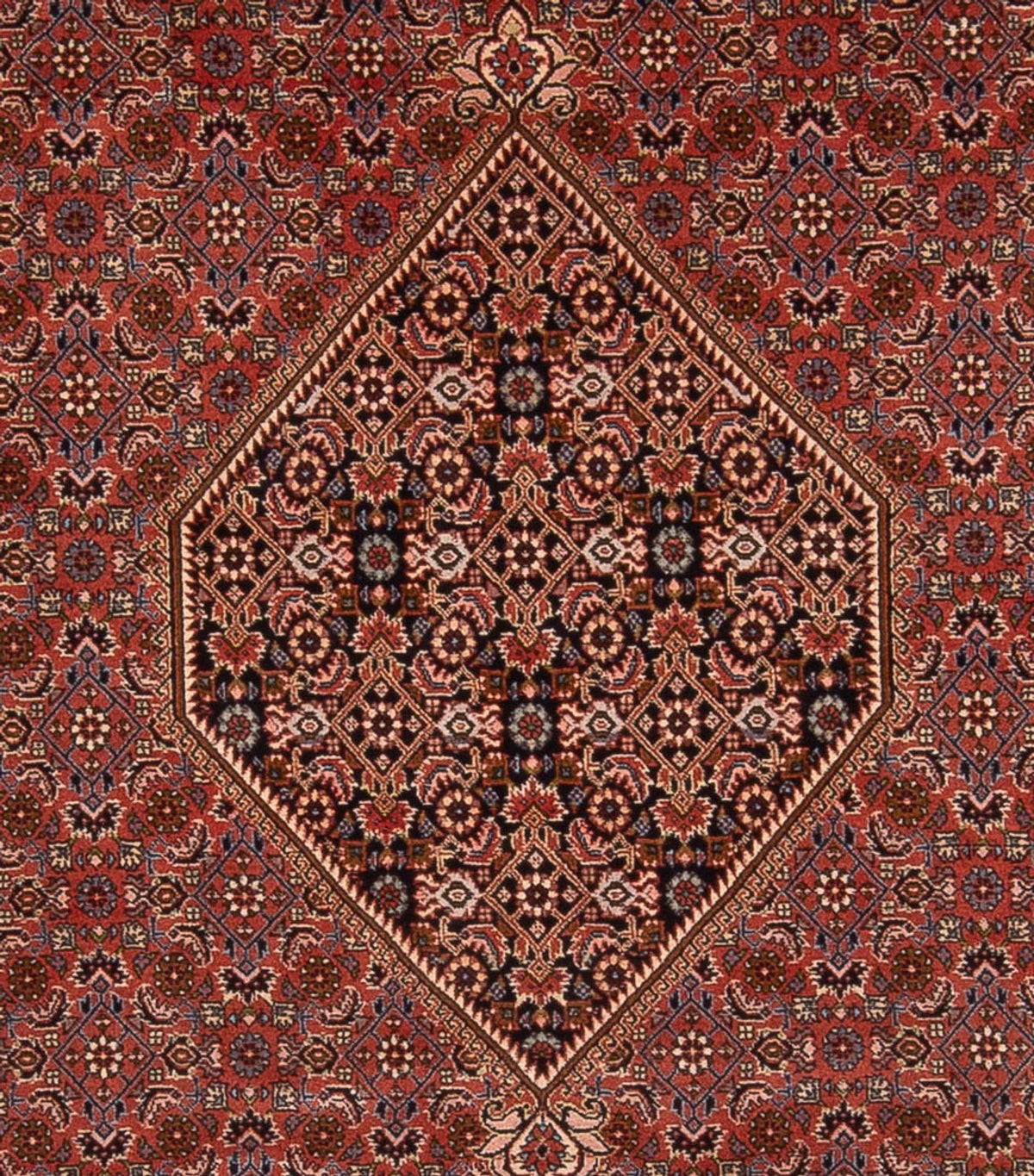 Perzisch tapijt - Bijar - Koninklijk - 344 x 250 cm - roest