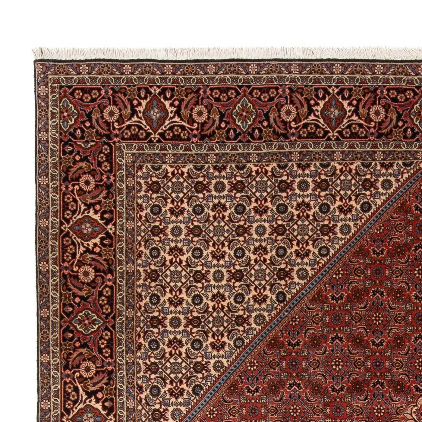 Bidjar - Bukan Tapijt 344x250cm - Perzisch tapijt
