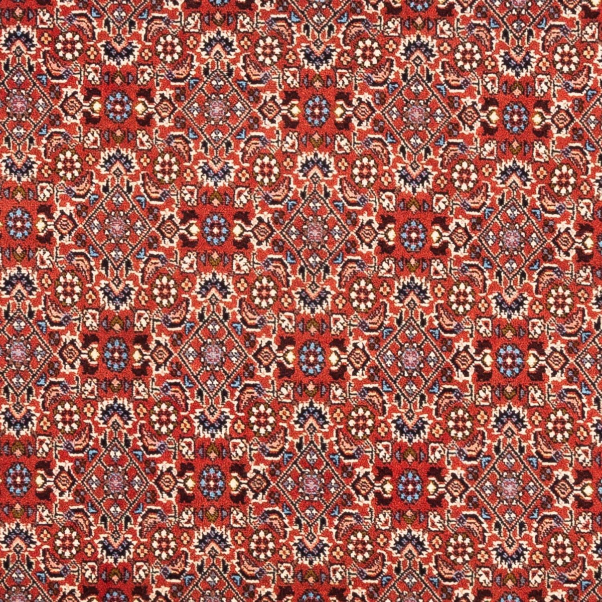 Perzisch tapijt - Bijar - Koninklijk - 180 x 110 cm - rood