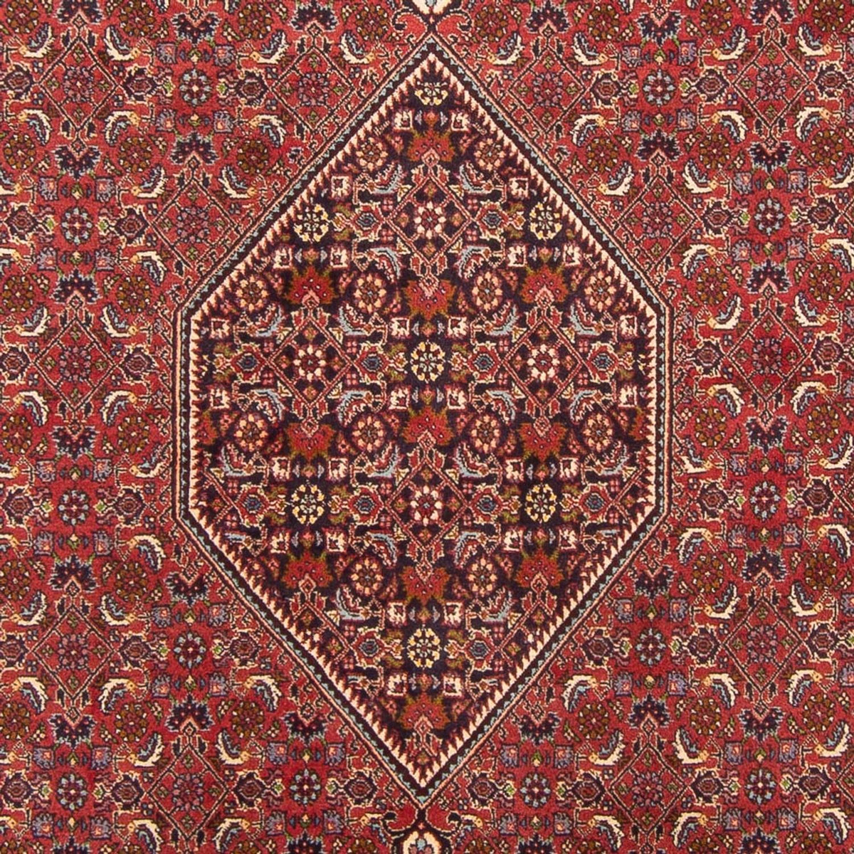 Perzisch tapijt - Bijar - Koninklijk - 301 x 200 cm - rood