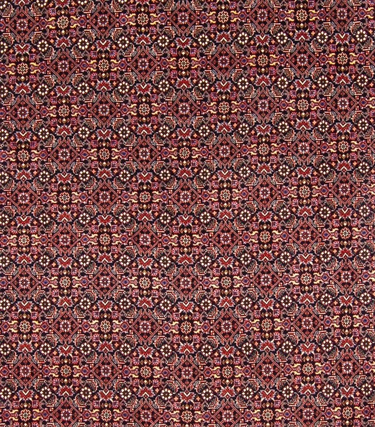 Perzisch tapijt - Bijar - Koninklijk - 337 x 260 cm - donkerblauw