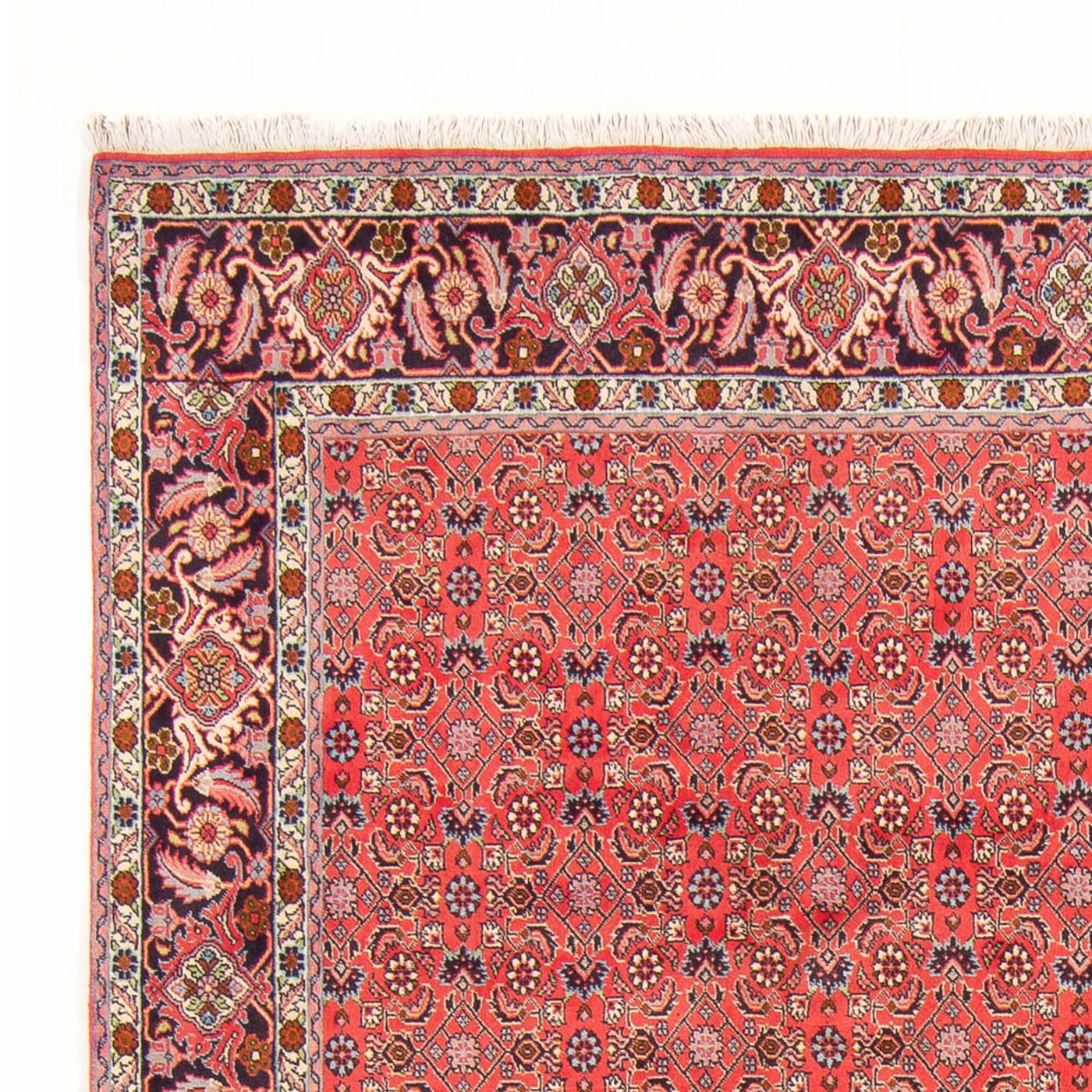Bidjar - Bukan Tapijt 294x200cm - Perzisch tapijt