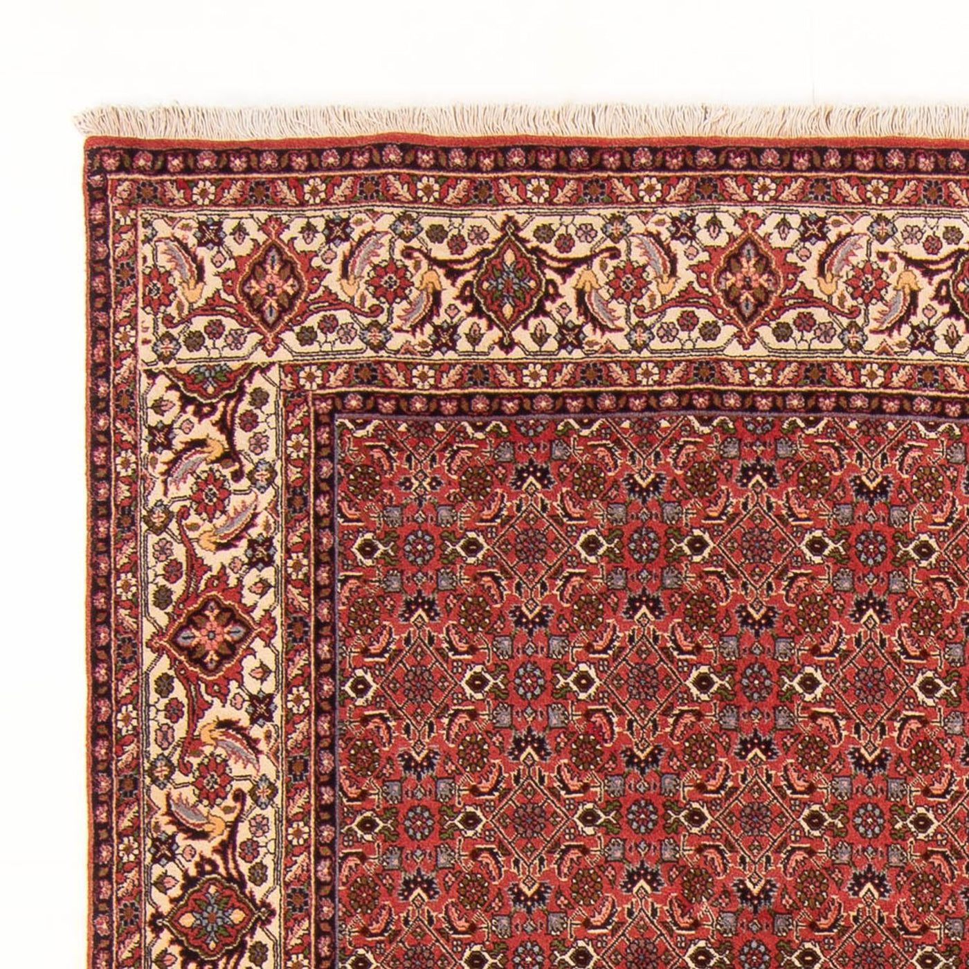 Bidjar - Bukan Tapijt 289x195cm - Perzisch tapijt