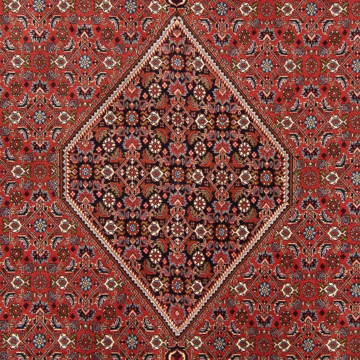 Perzisch tapijt - Bijar - Koninklijk - 310 x 200 cm - rood