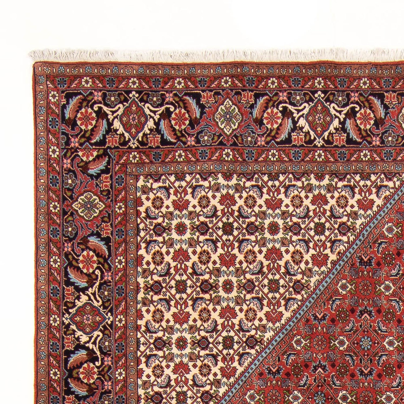Bidjar - Bukan Tapijt 310x200cm - Perzisch tapijt