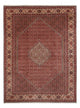 Bidjar - Bukan Tapijt 340x250cm - Perzisch tapijt