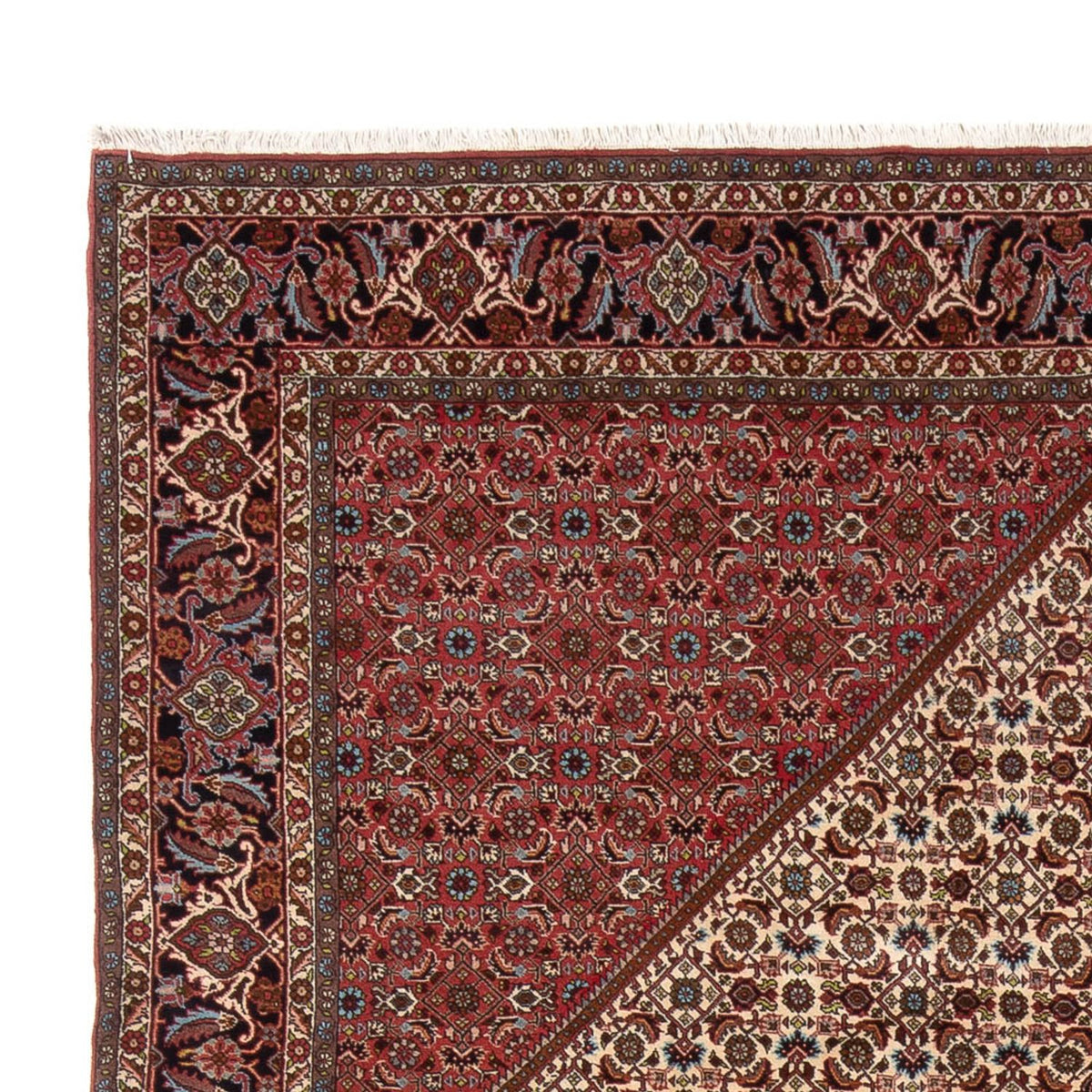 Bidjar - Bukan Tapijt 251x336cm - Perzisch tapijt
